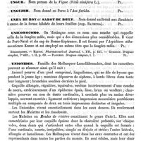 0063 - Page 59 - Unguis (Os) [L. Hahn] / Ungur [G. Planchon] / Unguzeh [G. Planchon] / Unha de boy ou Sabot de boeuf [G. Planchon] / Unicomocomo [G. Planchon] (bibliographie) / Unionides [Ed. Lefèvre]