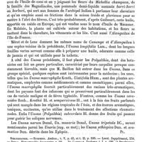 0065 - Page 61 - Unona [G. Planchon] (bibliographie) / Unoperguen [G. Planchon] / Unstectla [G. Planchon]