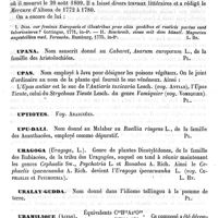 0067 - Page 63 - Unzer. (Les deux) [L. Hahn] (bibliographie) / Upana [G. Planchon] / Upas [G. Planchon] / Uptiotes. Voy. Araignées / Upu-dali [G. Planchon] / Uragoga [L. Hahn] / Uralay-gudda [G. Planchon] / Uramilique (Acide) [Riche] / Urania speciosa [G. Planchon] / Uranium [Riche]