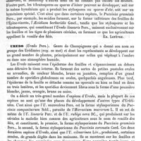 0105 - Page 101 - Urédinées [Ed. Lefèvre] / Uredo [Ed. Lefèvre] / Urée [Edme Bourgoin]