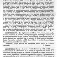 0593 - Page 589 - Urodèles [H.-E. Sauvage] (bibliographie) / Uroérythrine [Edme Bourgoin] / Urogénital (Sinus) [F. Tourneux, G. Herrmann]