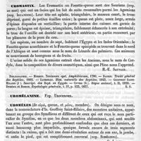 0598 - Page 594 - Urogénital (Sinus) [F. Tourneux, G. Herrmann] / Urohématine. Voy. Urochrome / Uromastix [H.-E. Sauvage] (bibliographie) / Uromélanine. Voy. Urochrome / Uromèles [O. Larcher] / Uromètre [L. Hahn] / Uromyces [Ed. Lefèvre]