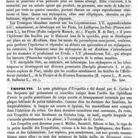 0599 - Page 595 - Uromyces [Ed. Lefèvre] / Uropeltis [H.-E. Sauvage]