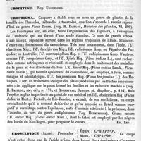 0600 - Page 596 - Uropeltis [H.-E. Sauvage] (bibliographie) / Uropitine. Voy. Urochrome / Urostigma [Ed. Lefèvre] / Urosulfique (Acide) [Edme Bourgoin]
