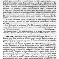 0631 - Page 627 - Urtication [Henri Leroux] (bibliographie) / Urticées [Ed. Lefèvre]