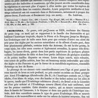 0632 - Page 628 - Urticées [Ed. Lefèvre] (bibliographie) / Urubitinga [E. Oustalet] / Urubu [E. Oustalet]