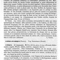 0645 - Page 641 - Utéro-ovariennes (Artère et veines) [L. Testut] / Utéro-ovarique (Plexus). Voy. Sympathique (Grand) / Utérus / Anatomie [E. Wertheimer]
