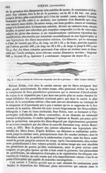 Fig. 2. Fibres-cellules de l'utérus au cinquième mois de la grossesse - Dictionnaire encyclopédique  [...]