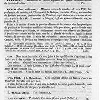 0129 - Page 125 - Utricule. Voy. Cellule / Utrus [G. Planchon] / Utta bira, utty renut [G. Planchon] / Utta manu [G. Planchon] / Uttini (Gaetano-Gaspare) [L. Hahn] (bibliographie) / Uva [G. Planchon] / Uva ursi / Botanique [G. Planchon] / Thérapeutique. Voy. Busserole / Uva vulpina [G. Planchon] / Uvae damascenae ou uvae majores [G. Planchon] / Uvae passulae vel passulinae [G. Planchon] / Uvaria [G. Planchon]