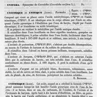 0131 - Page 127 - Uvas d'inferno [G. Planchon] (bibliographie) / Uvée. Voy. Oeil / Uvette [G. Planchon] / Uvifera [G. Planchon] / Uvitinique ou Uvitique (Acide) [Edme Bourgoin] / Uvitonique (Acide) [Edme Bourgoin]