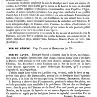 0795 - Page 791 - Ver à soie [A. Laboulbène] / Ver de Médine. Voy. Filaires et Helminthes (n° 33) / Ver du Cayor [Raphaël Blanchard] (bibliographie) / Ver luisant [A. Laboulbène]