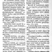 0007 - Page 3 - Hagenbut, Haynpol ou Hanbut / Hagendorn (Ehrenfried)