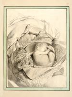 Abdomen d'une femme enceinte de 7 mois - Dessins originaux
