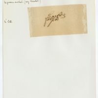 fl1473 - Page sans numérotation - FAGET