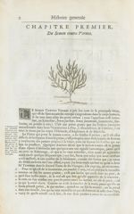 Semancine - Histoire générale des drogues, traitant des plantes, des animaux, & des mineraux ; ouvra [...]