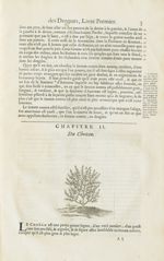 Choüan - Histoire générale des drogues, traitant des plantes, des animaux, & des mineraux ; ouvrage  [...]