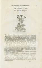 Du seseli de Marseille - Histoire générale des drogues, traitant des plantes, des animaux, & des min [...]