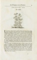 Carui - Histoire générale des drogues, traitant des plantes, des animaux, & des mineraux ; ouvrage e [...]