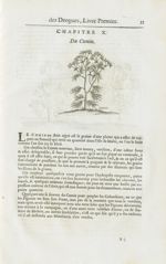 Cumin - Histoire générale des drogues, traitant des plantes, des animaux, & des mineraux ; ouvrage e [...]