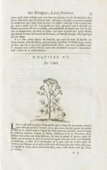 Anis / Anis de la Chine - Histoire générale des drogues, traitant des plantes, des animaux, & des mi [...]