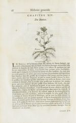 Bunias - Histoire générale des drogues, traitant des plantes, des animaux, & des mineraux ; ouvrage  [...]