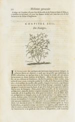 Fanugree - Histoire générale des drogues, traitant des plantes, des animaux, & des mineraux ; ouvrag [...]