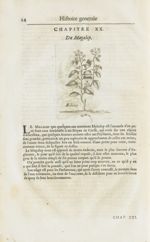 Mahalep - Histoire générale des drogues, traitant des plantes, des animaux, & des mineraux ; ouvrage [...]