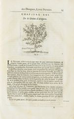 Graine d'Avignon - Histoire générale des drogues, traitant des plantes, des animaux, & des mineraux  [...]