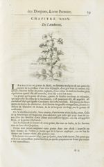 Graine de musc - Histoire générale des drogues, traitant des plantes, des animaux, & des mineraux ;  [...]