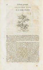 Graine d'escarlatte - Histoire générale des drogues, traitant des plantes, des animaux, & des minera [...]