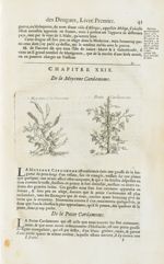 Moyenne cardamome / Petite cardamome - Histoire générale des drogues, traitant des plantes, des anim [...]