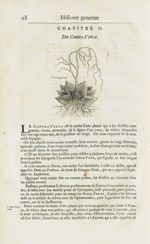 Contrayerva - Histoire générale des drogues, traitant des plantes, des animaux, & des mineraux ; ouv [...]