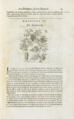 Mechoacan - Histoire générale des drogues, traitant des plantes, des animaux, & des mineraux ; ouvra [...]