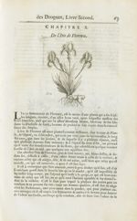 Iris - Histoire générale des drogues, traitant des plantes, des animaux, & des mineraux ; ouvrage en [...]