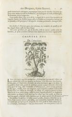 Angelique - Histoire générale des drogues, traitant des plantes, des animaux, & des mineraux ; ouvra [...]