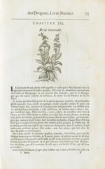 Gentianne - Histoire générale des drogues, traitant des plantes, des animaux, & des mineraux ; ouvra [...]