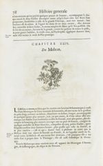 Meon - Histoire générale des drogues, traitant des plantes, des animaux, & des mineraux ; ouvrage en [...]