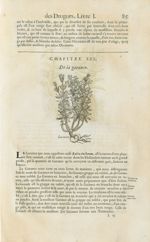 Garance - Histoire générale des drogues, traitant des plantes, des animaux, & des mineraux ; ouvrage [...]