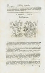 Azarum / Azarina - Histoire générale des drogues, traitant des plantes, des animaux, & des mineraux  [...]