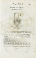 Cannes a sucre - Histoire générale des drogues, traitant des plantes, des animaux, & des mineraux ;  [...]