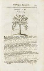 Santeaux - Histoire générale des drogues, traitant des plantes, des animaux, & des mineraux ; ouvrag [...]