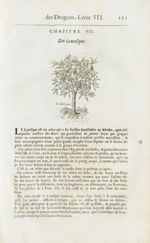 Lintisque - Histoire générale des drogues, traitant des plantes, des animaux, & des mineraux ; ouvra [...]