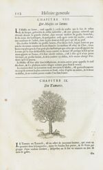 Tamaris - Histoire générale des drogues, traitant des plantes, des animaux, & des mineraux ; ouvrage [...]