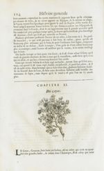 Gayac - Histoire générale des drogues, traitant des plantes, des animaux, & des mineraux ; ouvrage e [...]