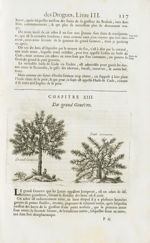 Grand genevre / Petit genevre - Histoire générale des drogues, traitant des plantes, des animaux, &  [...]