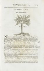 Bois de Bresil - Histoire générale des drogues, traitant des plantes, des animaux, & des mineraux ;  [...]