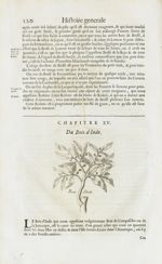 Bois d'Inde - Histoire générale des drogues, traitant des plantes, des animaux, & des mineraux ; ouv [...]