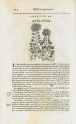 Anis de la Chine / Bois de fustel - Histoire générale des drogues, traitant des plantes, des animaux [...]