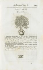 Marum - Histoire générale des drogues, traitant des plantes, des animaux, & des mineraux ; ouvrage e [...]