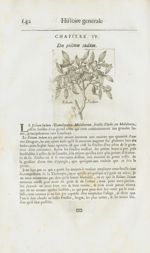 Folium indum - Histoire générale des drogues, traitant des plantes, des animaux, & des mineraux ; ou [...]